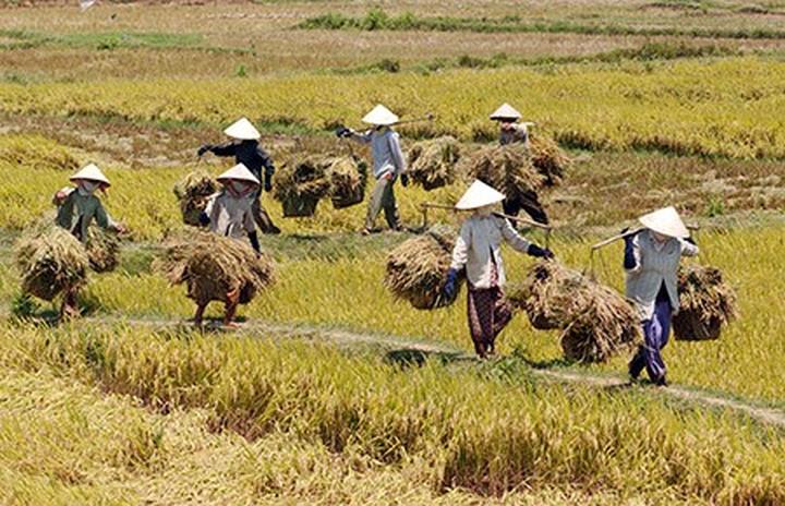Tỏa Sáng Trên Mạng Xã Hội: Chuyên Gia Trang Điểm & Hotspot Matrix