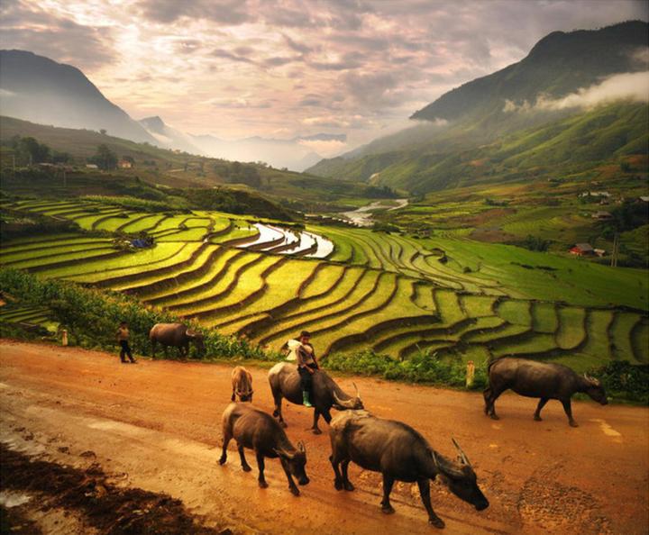 Hotspot Matrix: Văn hóa & Môi trường Làm Việc Tích Cực