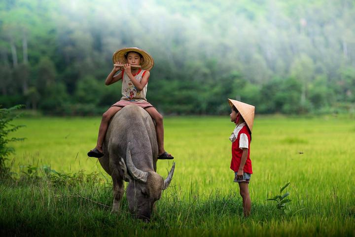 Tối ưu nội dung Xiaohongshu cùng Hotspot Matrix