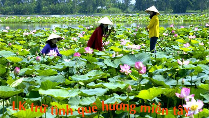 Các nhà khoa học phân tích - Cảm hứng video marketing từ Hotspot Matrix