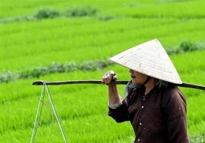 Hotspot Matrix và Niềng răng đẹp tự tin tại Nha Khoa Kim